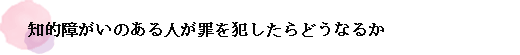 知的障がいのある人が罪を犯したらどうなるか