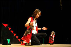 写真１