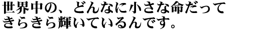 「今」だから、考えたい。