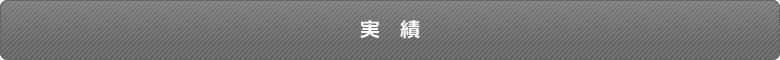 実績
